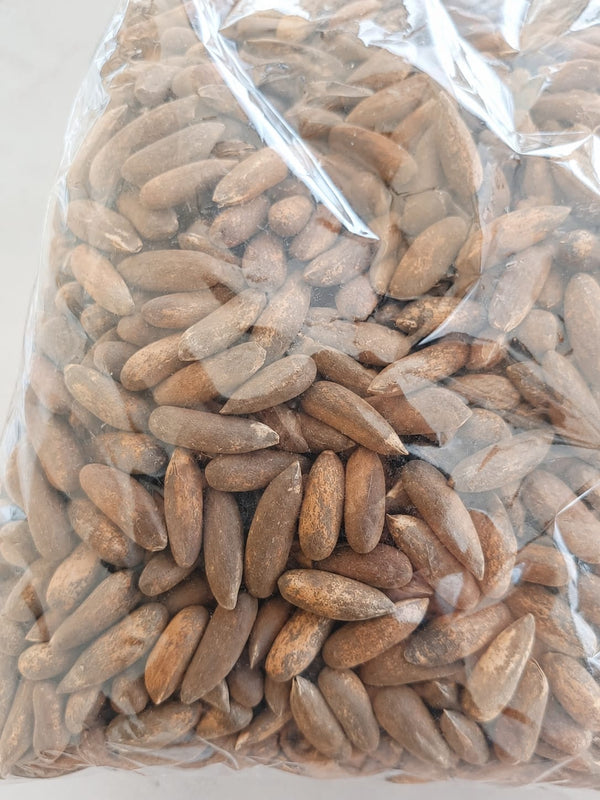 Eksklusiv Pinjekjerner i skall fra Afghanistan 1 kg
